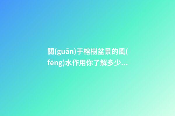 關(guān)于榕樹盆景的風(fēng)水作用你了解多少？
